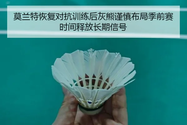 莫兰特恢复对抗训练后灰熊谨慎布局季前赛时间释放长期信号